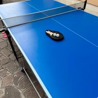 Tavolo ping pong