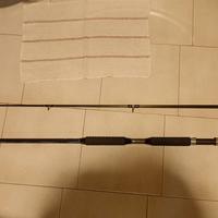 Canna per la pesca al siluro