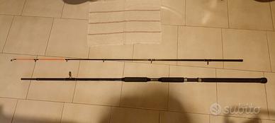 Canna per la pesca al siluro