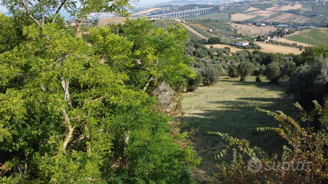 TER. AGRICOLO A TORTORETO - Vista 5