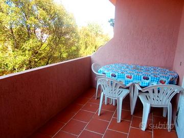 Bilocale vicino porticciolo palau costa smeralda