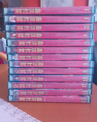 26 DVD Ken il guerriero 