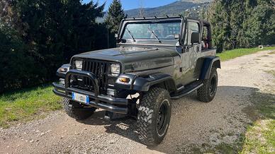 Jeep Wrangler YJ  - anno 1993 - ASI