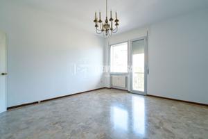 AMPIO TRILOCALE CON BOX E CANTINA!