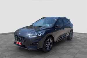 FORD Kuga Kuga 2.0 EcoBlue 120CV aut. AWD ST-Lin