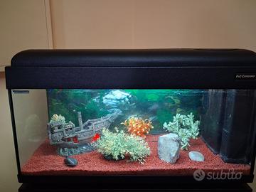 Acquario  80-100L