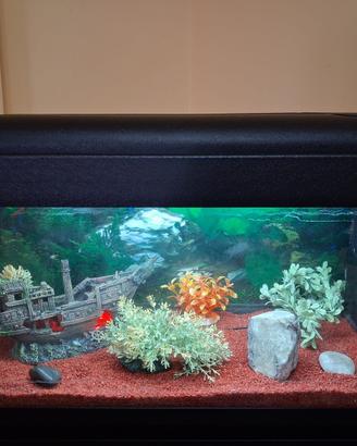 Acquario  80-100L