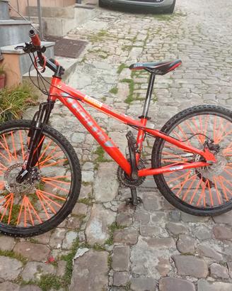 bici MOMA bikes 