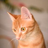 Zoe= vita, chiusa in box aspetta te