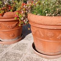 Coppia di vasi in terracotta da 50