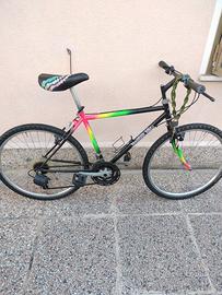 Bicicletta
