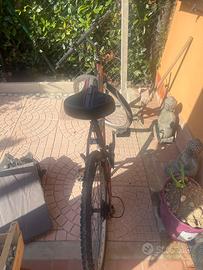 Bicicletta