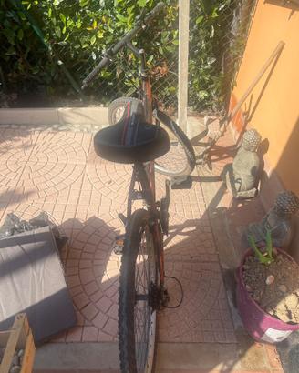 Bicicletta