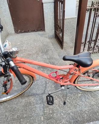 Bicicletta