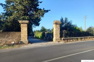 CARINI/BIVIO FORESTA: TERRENO AGRICOLO MQ 3600