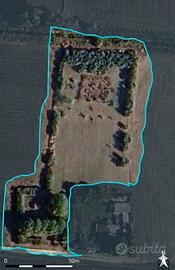 Terreno agricolo con uliveto e luce - ginosa marin