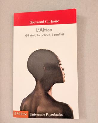 L' Africa - Gli stati, la politica, i conflitti 