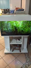 Acquario completo