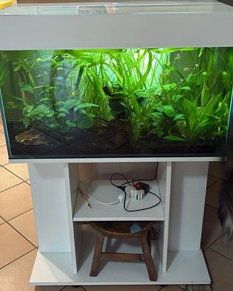 Acquario completo