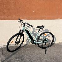 Bici elettrica Riverside 100E