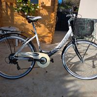 bici lombardo rimini 26