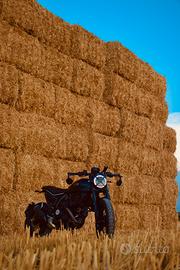 Ducati Scrambler Nightshift MY25