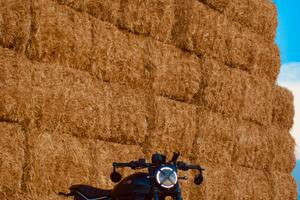 Ducati Scrambler Nightshift MY25