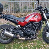 Benelli Leoncino 500 2021 