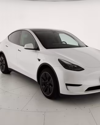 TESLA Model Y RWD