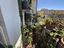 Immagine 19
