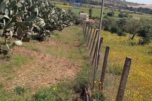 Terreno - Caltagirone