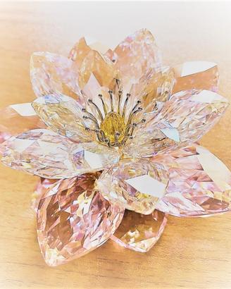 Swarovski, ninfea WATERLILY ROSALINE
