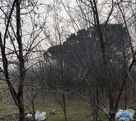 Immobile in asta di 56450 m² con più di 5 locali a - Vista 3