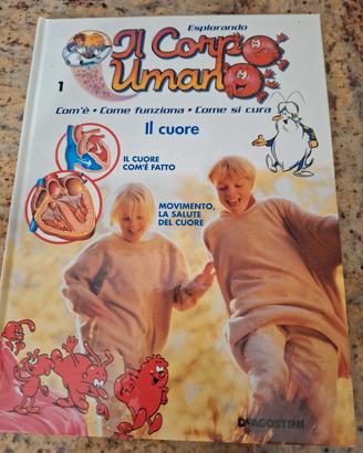Corpo umano