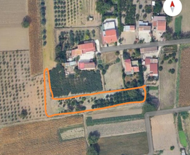 Terreno industriale