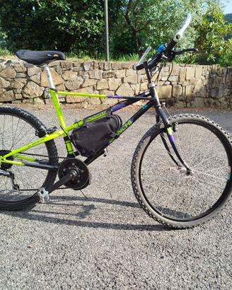 MTB Bianchi Thomisus, elettrificata