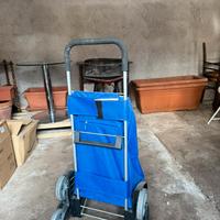 Carrello spesa