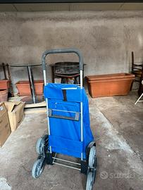 Carrello spesa