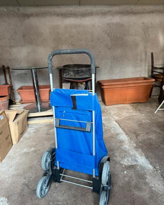 Carrello spesa