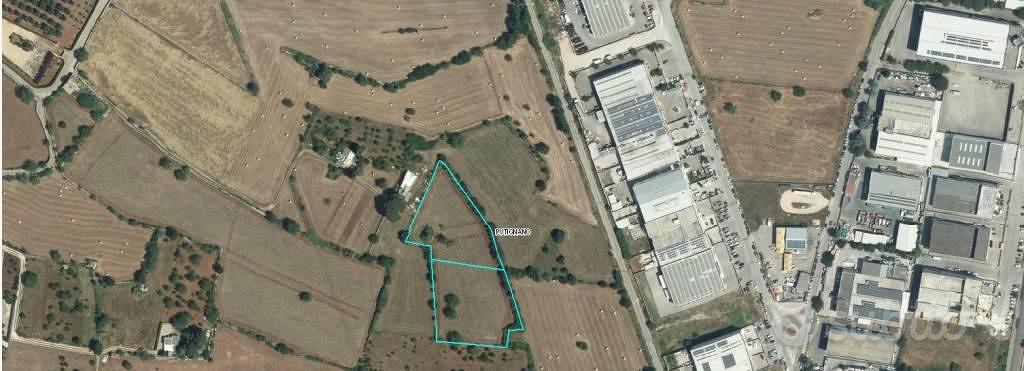Terreno di 7355 m² a Putignano - Vista 2
