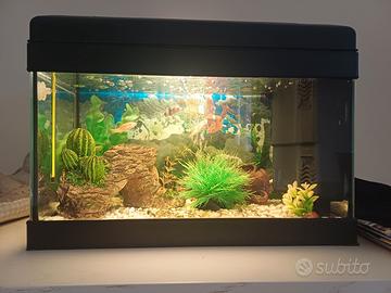 Acquario 20 L