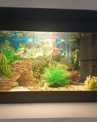 Acquario 20 L