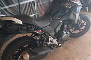 Suzuky V-Strom 250 anno 2020