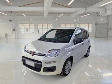 FIAT PANDINA 1.0 FIREFLY 65 CV SES 6M HYBRID ICON 