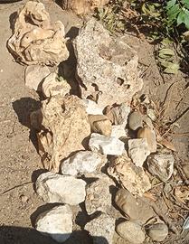 sassi per decorazione giardino