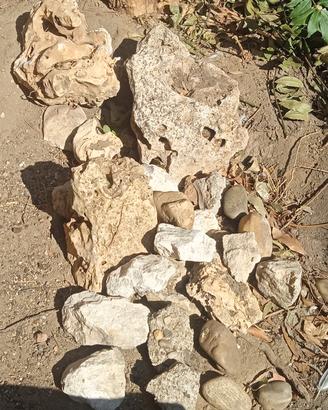 sassi per decorazione giardino