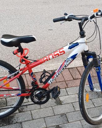 Bicicletta  bimbo
