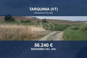 Immobile in asta di 88800 m² a Tarquinia