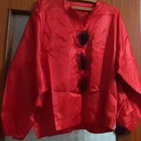 Vestito da pinguino e giacca pagliaccio