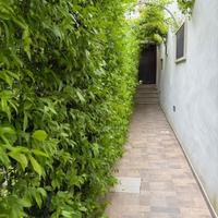 Appartamento a Mesagne